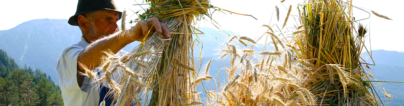 Sommeransicht Galreidhof 1