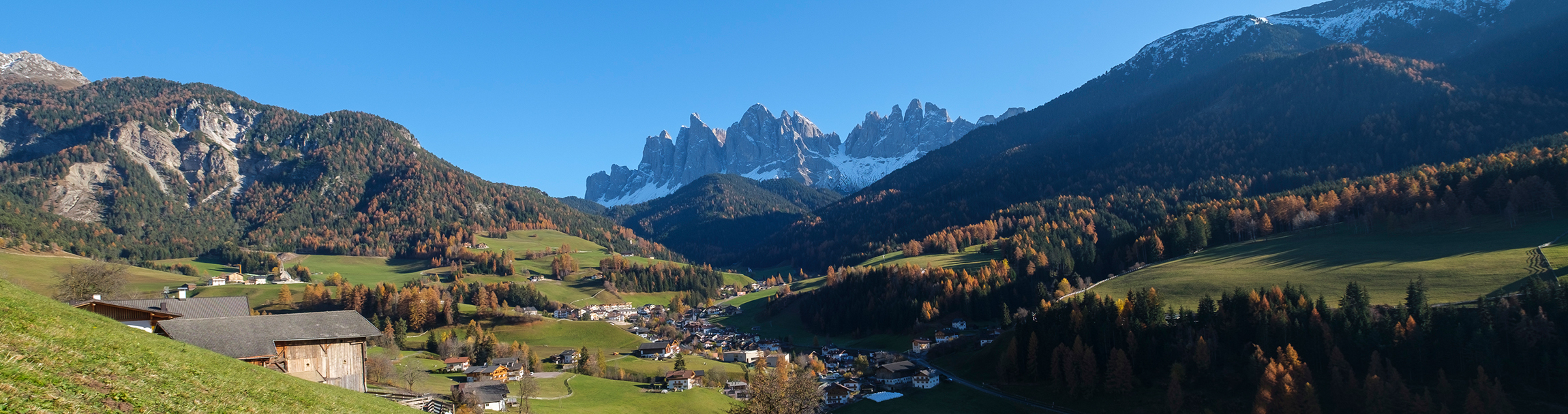 Urlaub auf dem Bauernhof - Der Galreidhof