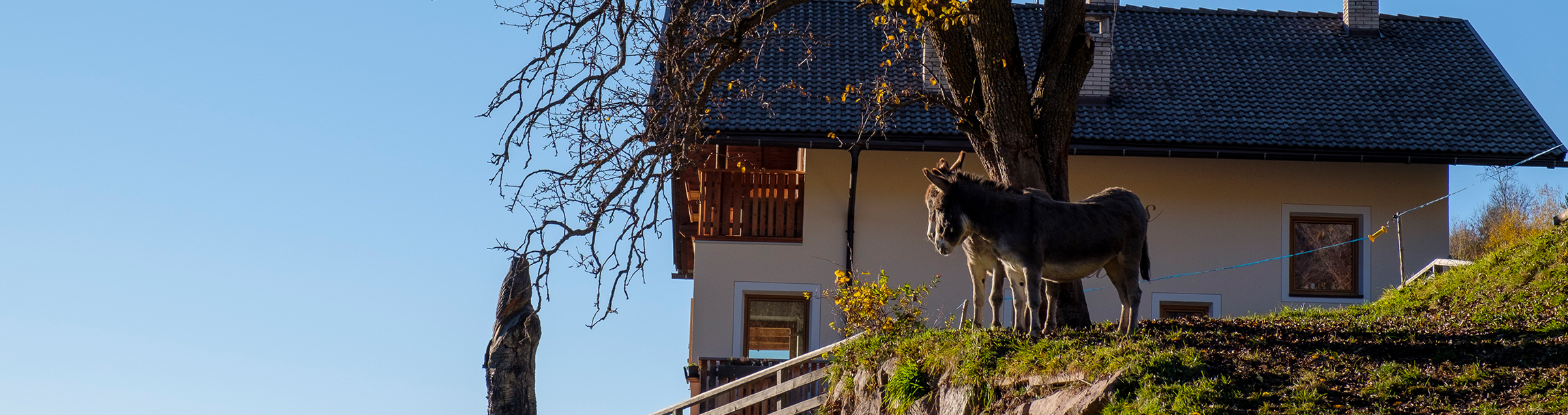Ferienwohnung im Villnösstal - Urlaub auf dem Bauernhof