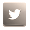Twitter Icon